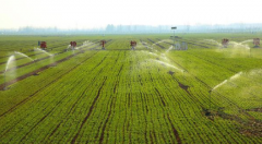 农田灌溉水检测项目有哪些